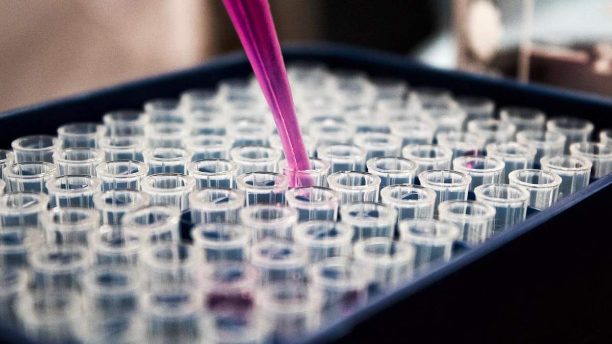 Украинские ученые в очередной раз показывают свой потенциал Украинские ученые в очередной раз показывают свой потенциал