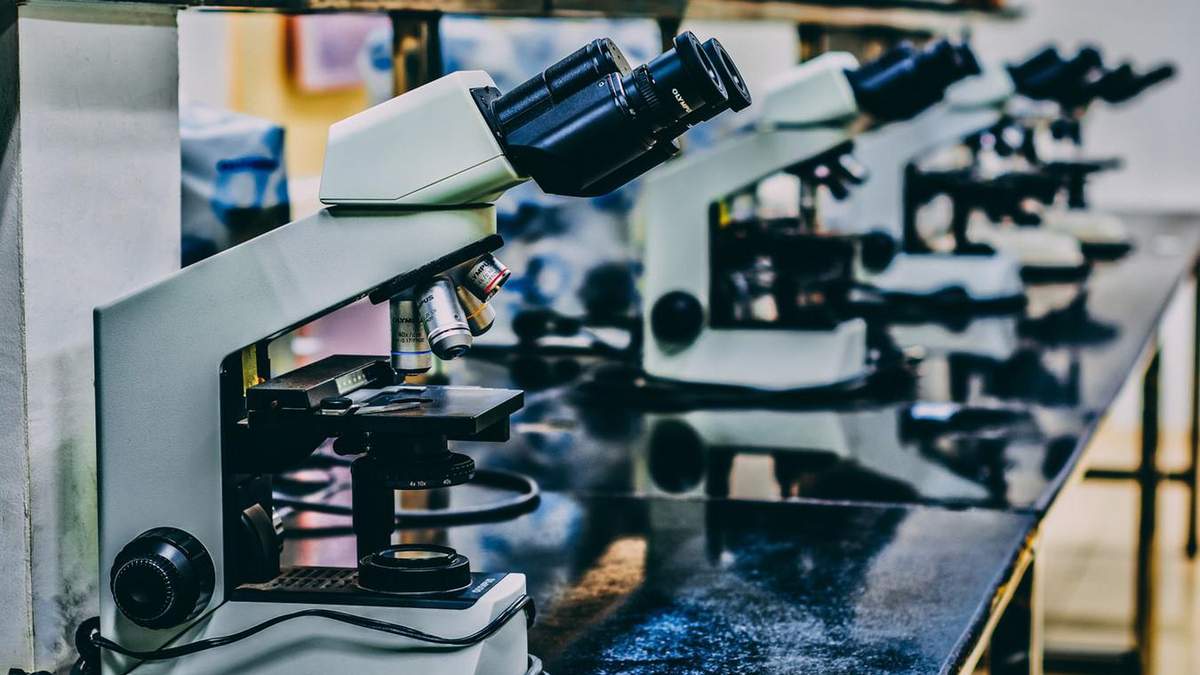 Повноцінно запрацювати фонд не міг через бюрократичні обмеження Повноцінно запрацювати фонд не міг через бюрократичні обмеження