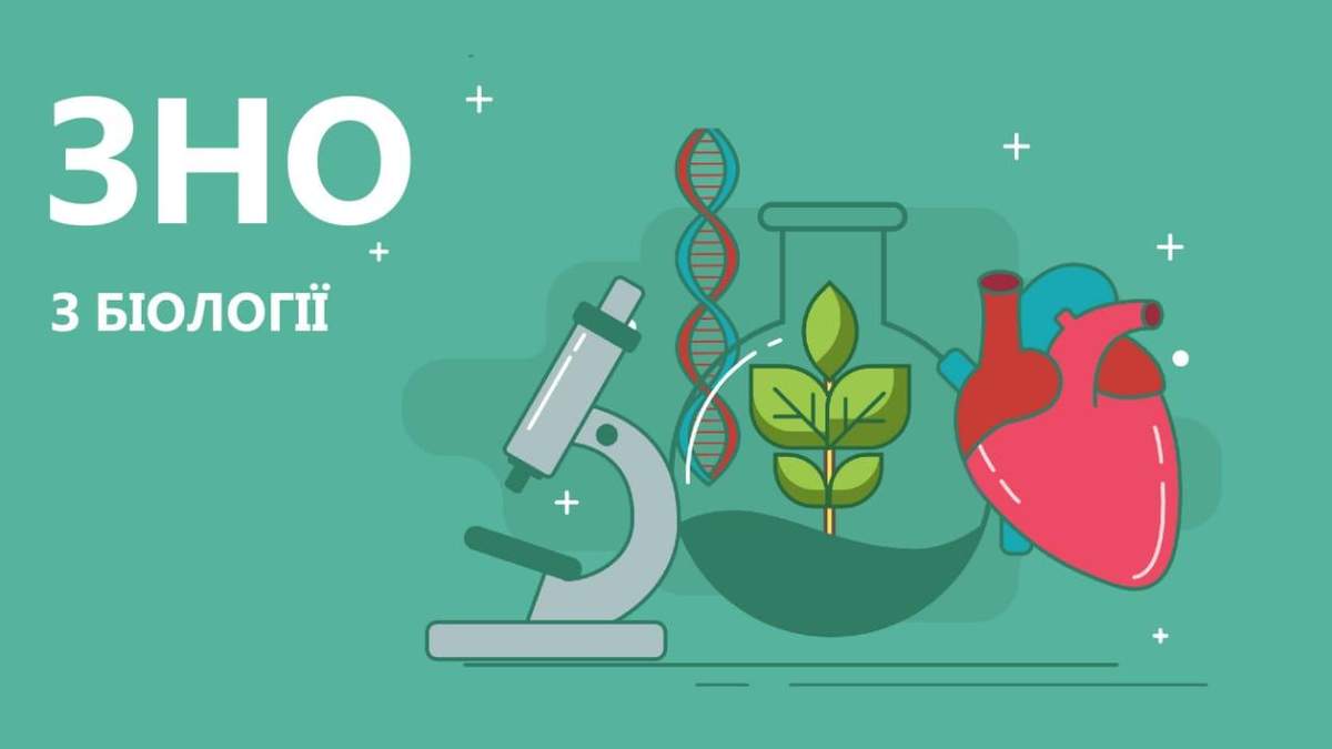 ЗНО 2020 біологія: правильні відповіді тестів ЗНО 2020 біологія: правильні відповіді тестів