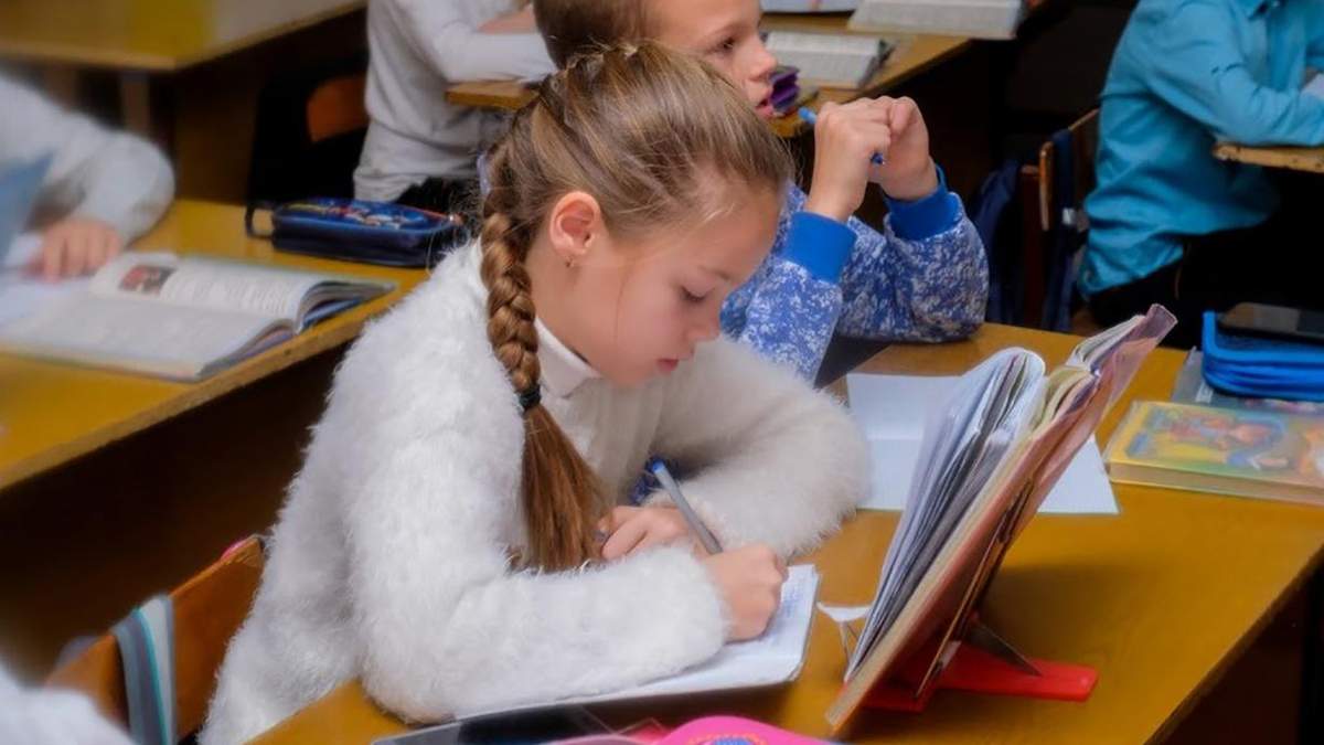 В школах ученики смогут учиться по авторским программам: детали В школах ученики смогут учиться по авторским программам: детали